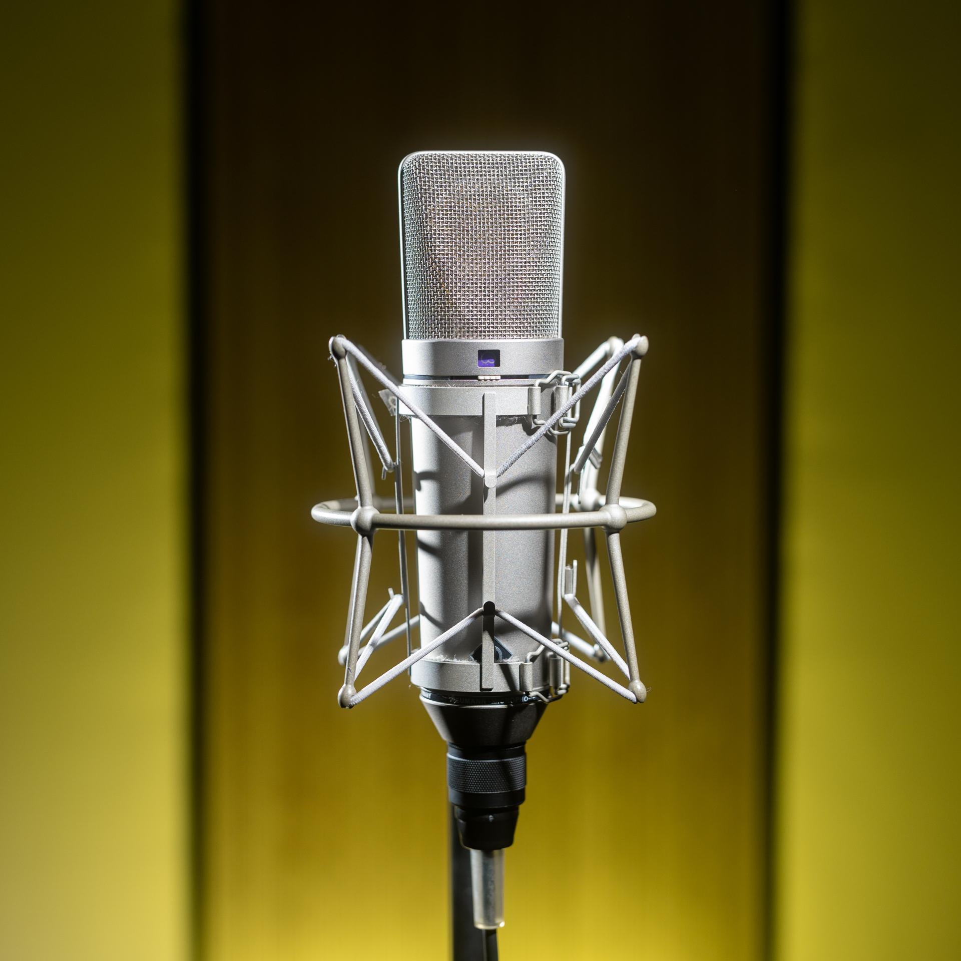 Neumann U67 (2)