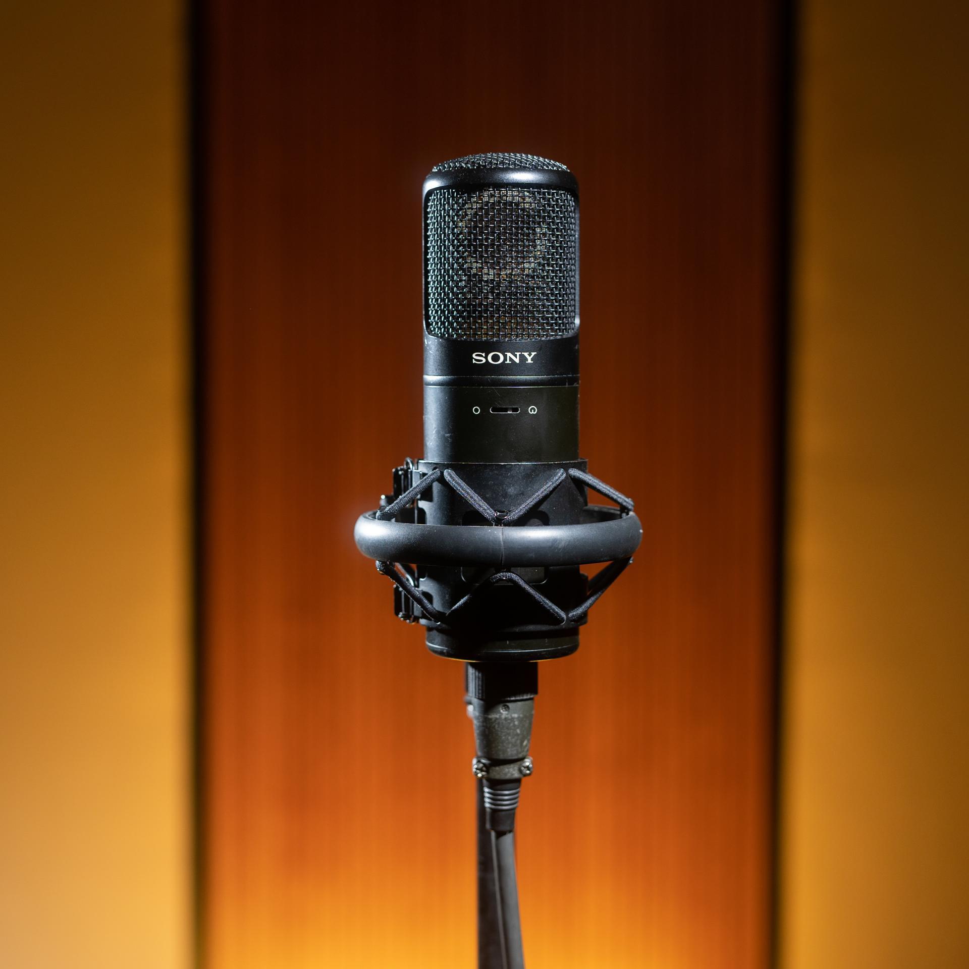 Sony C-800G (1)