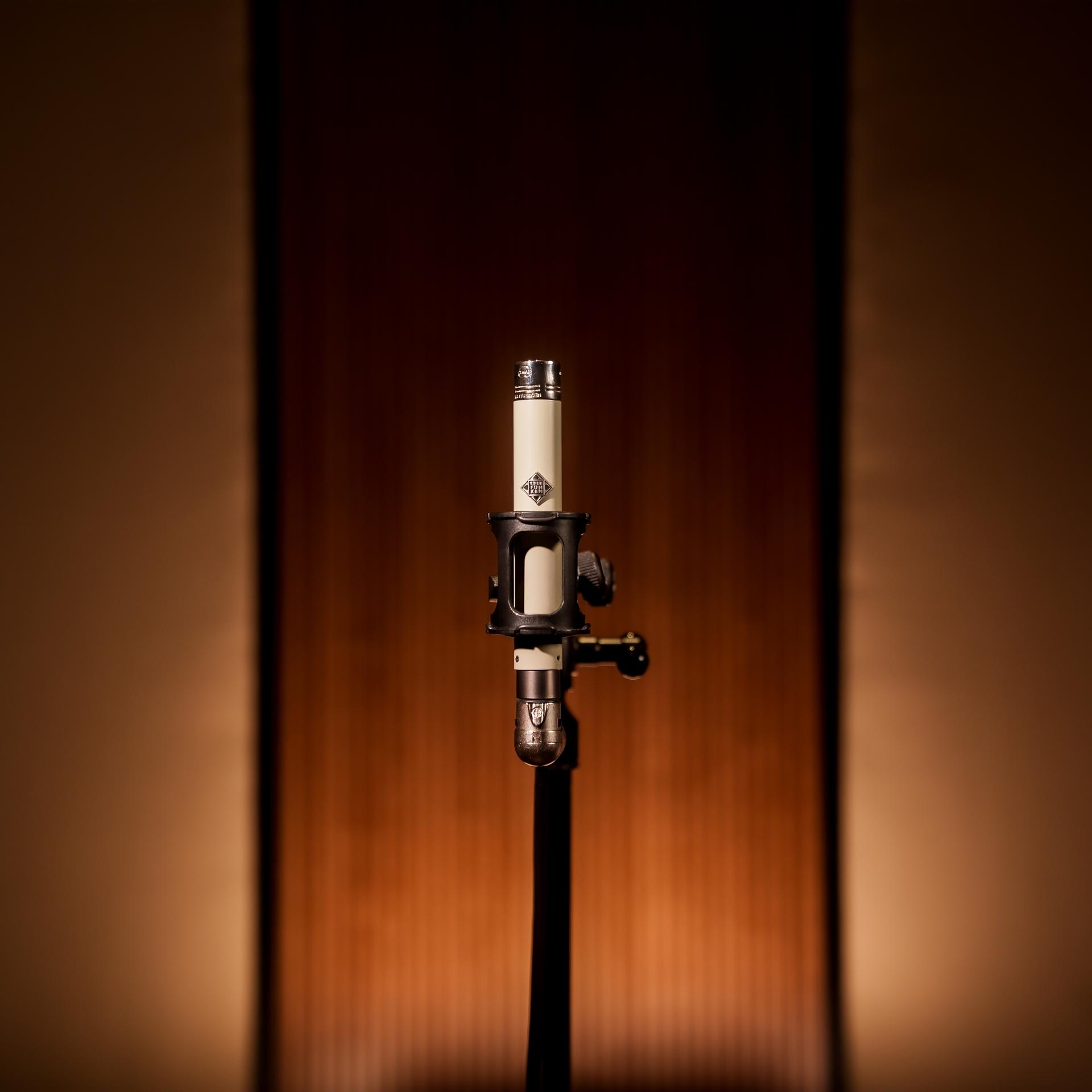 Telefunken ELA M260 (3)