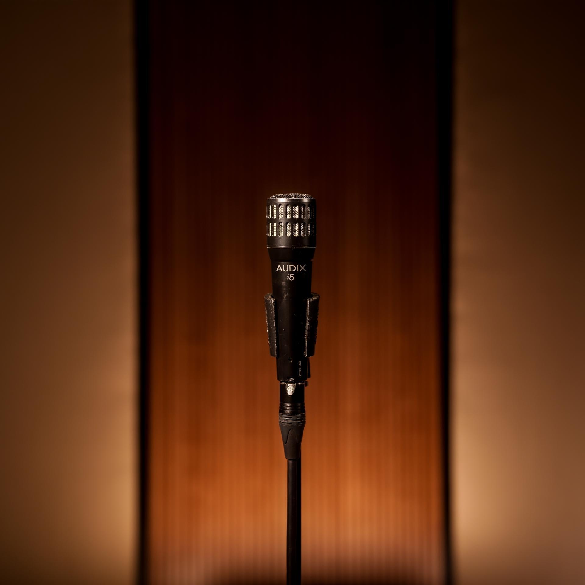 Audix i5 (1)