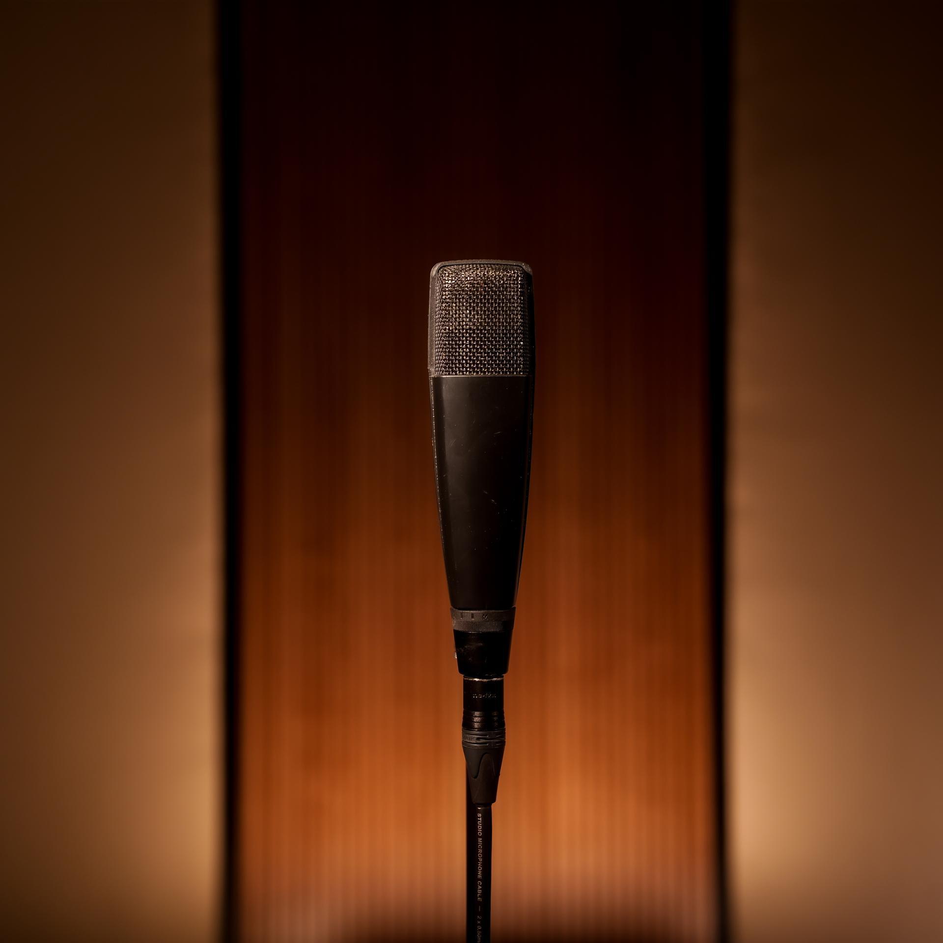 Sennheiser MD 421 (4)