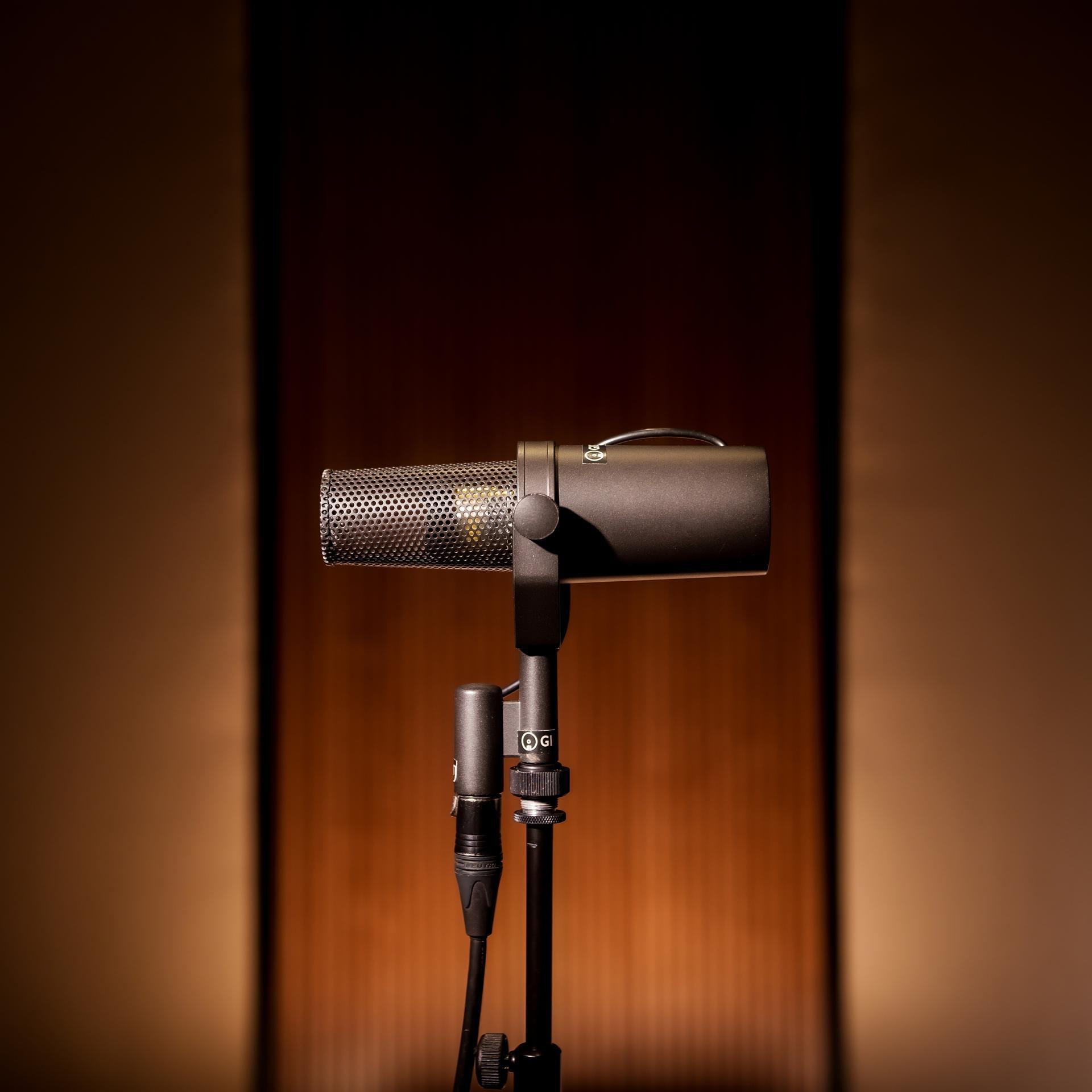 Shure SM7B (1)