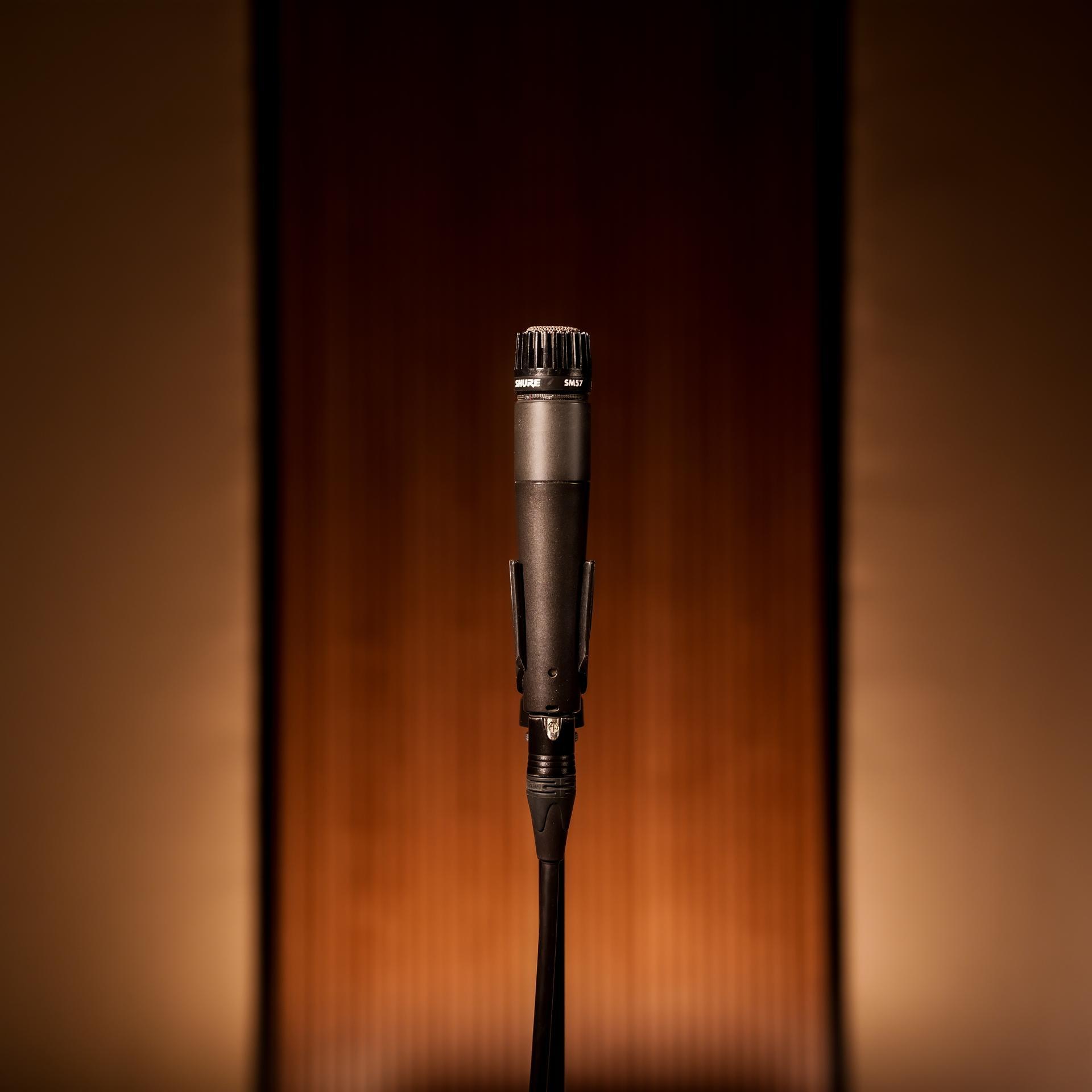 Shure SM57 (2)
