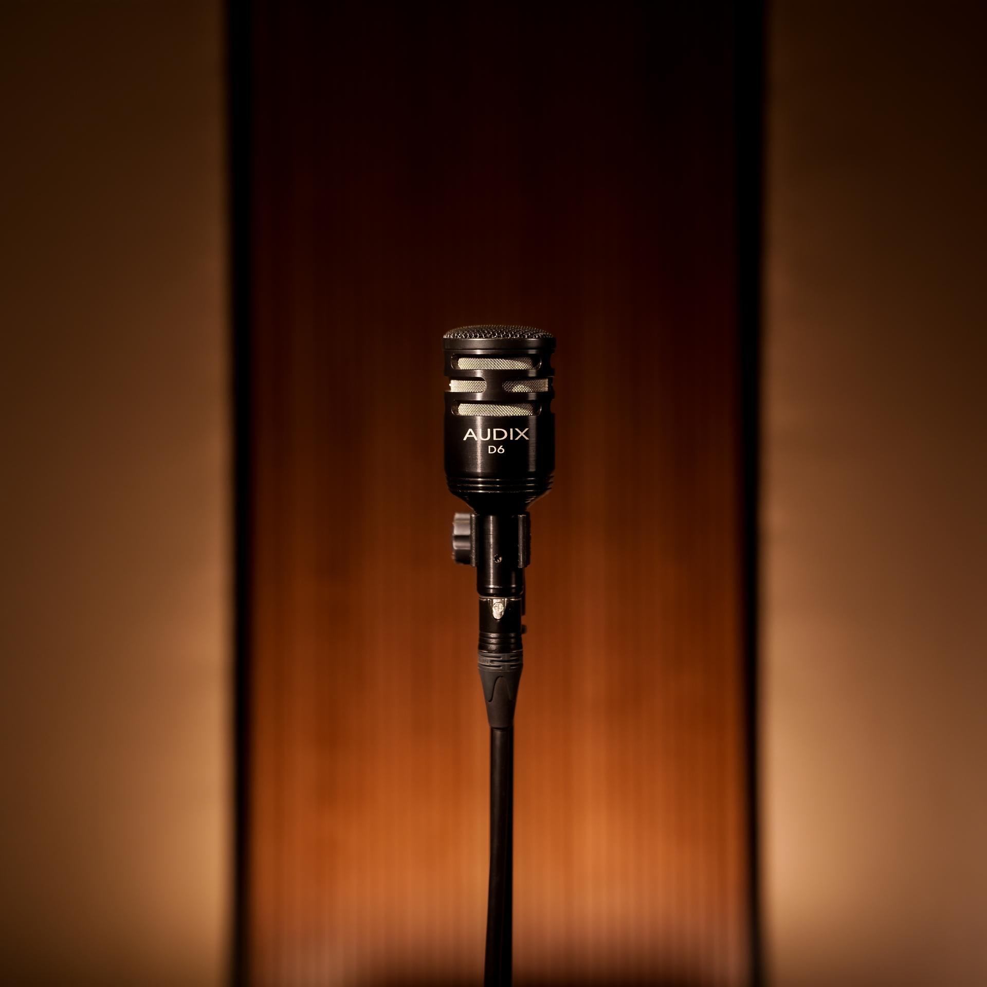 Audix D6 (1)