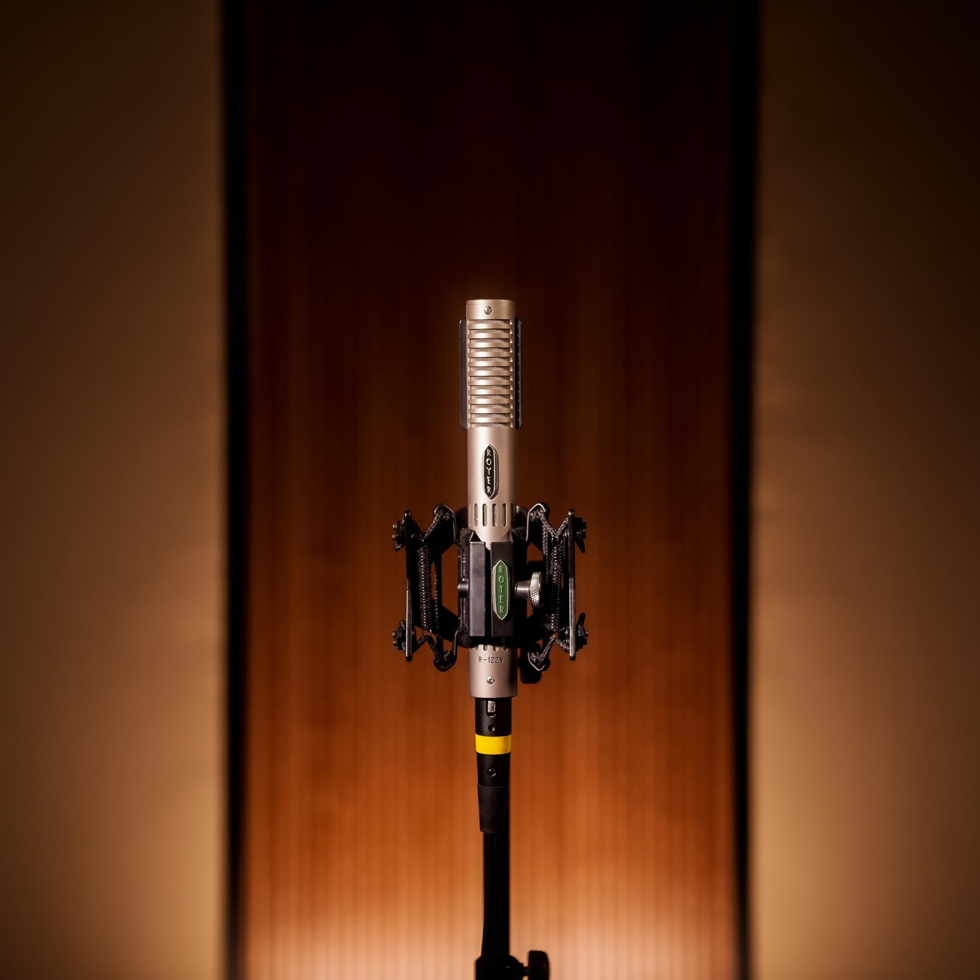 Royer R-122V (2)