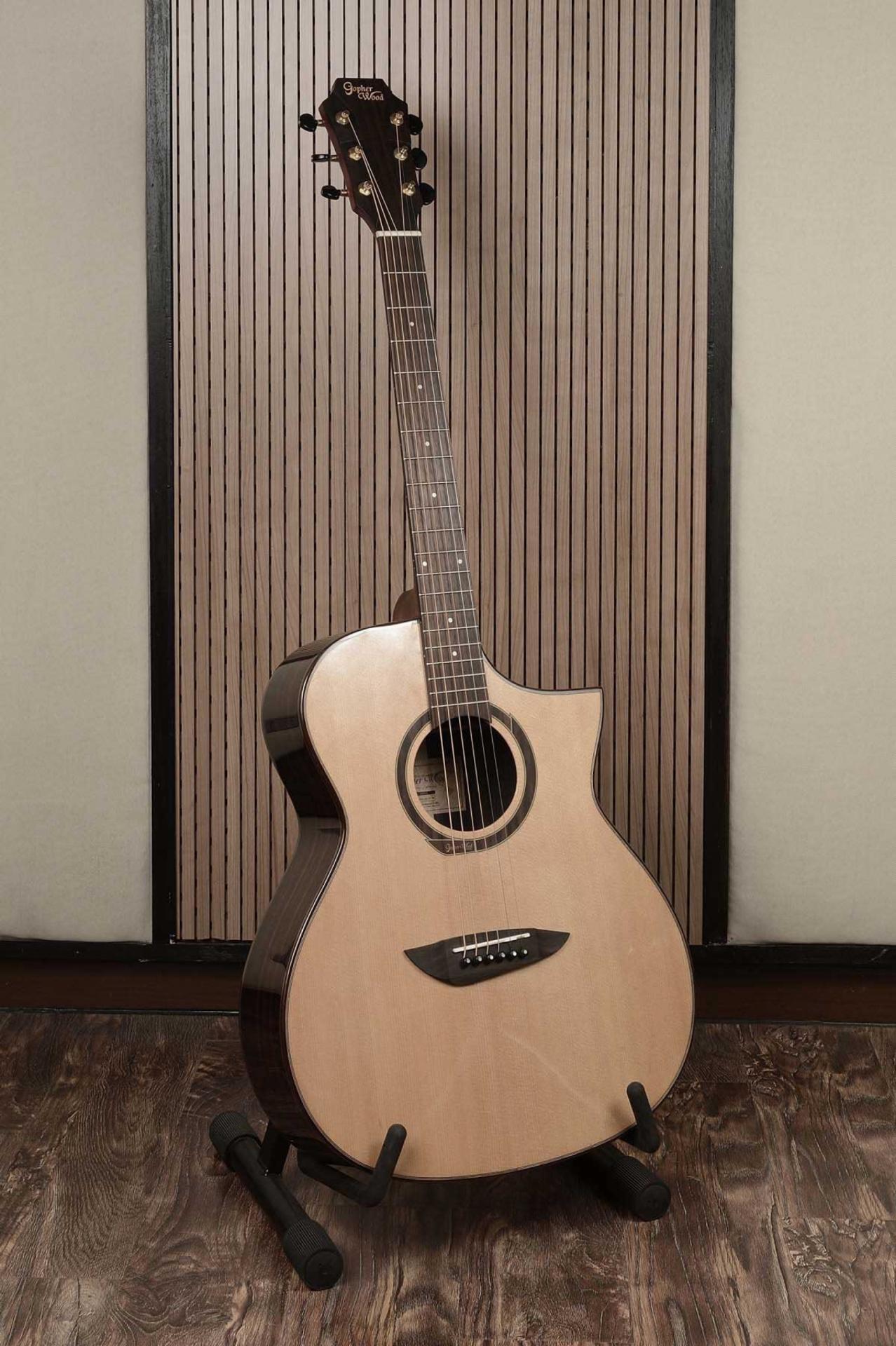 Gopher Acoustic Guitar